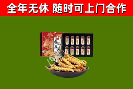 光山烟酒回收冬虫夏草礼盒.jpg