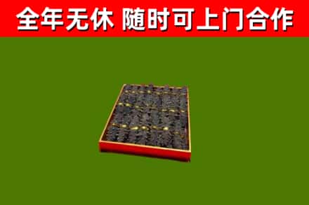 光山回收海参